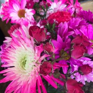 Meet your Posher, Carrie